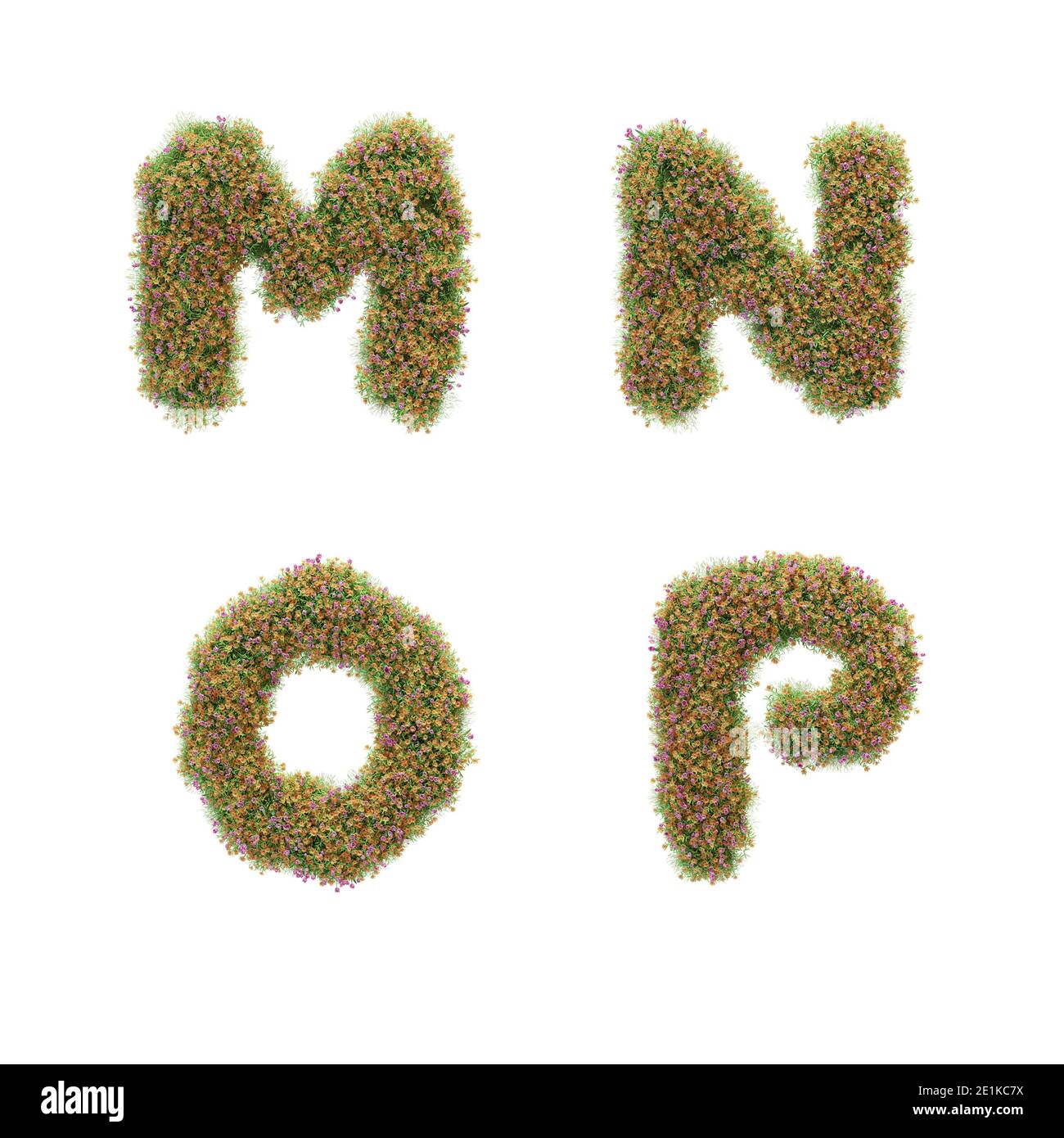 Letter p flowers hi-res stock photography and images - Alamy