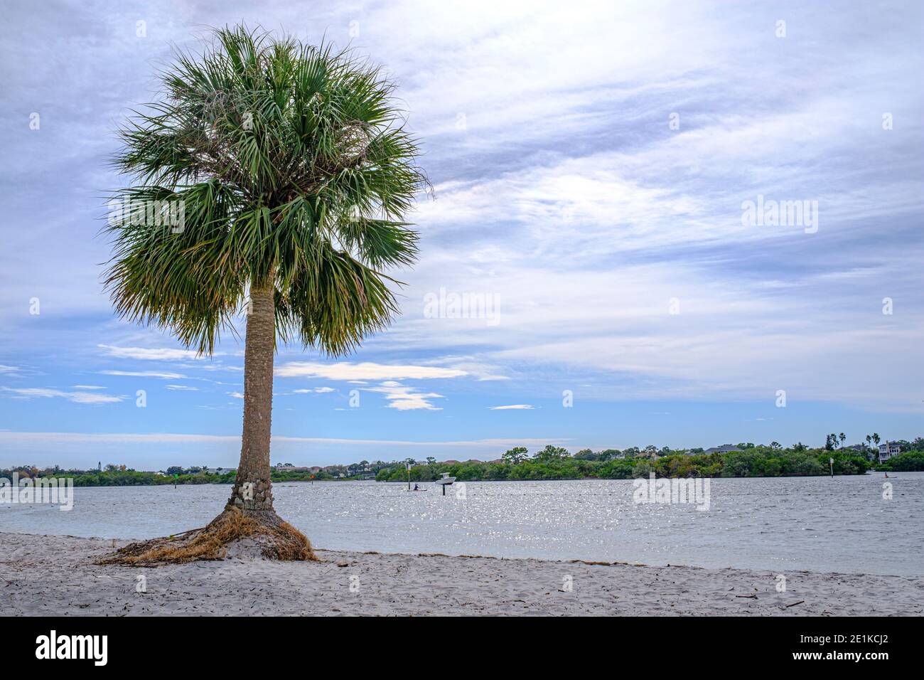 Beach at Anclote River Park in Holiday, FL in Pasco County Stock Photo