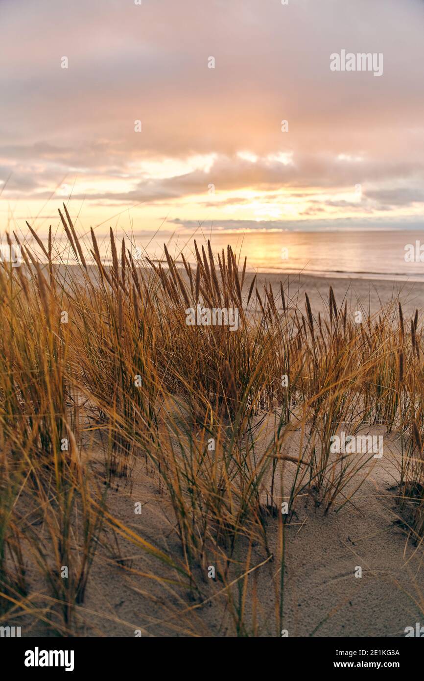 Tall dunes with dune grass and a wide beach below Stock Photo