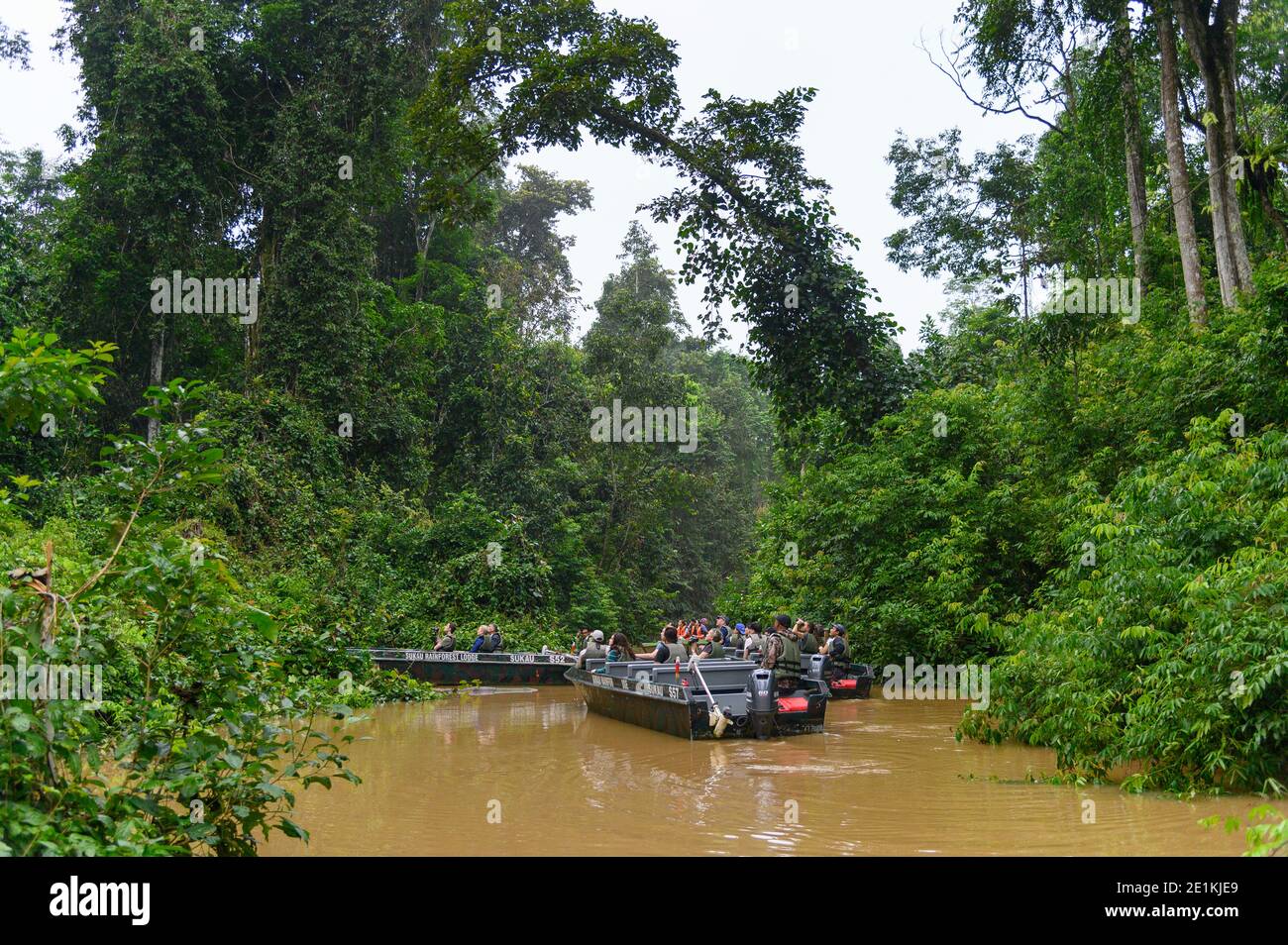River raft cruise to view wildlife in the Borneo Sukau Rainforest Stock Photo
