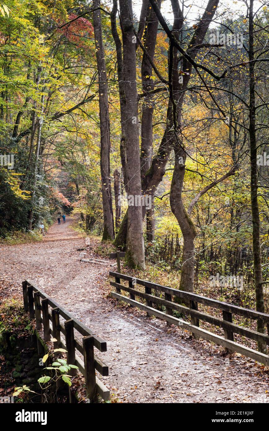Bridge crossing within the Great Smoky Mountains National Park, autumn season.  This picture is near the Bryson City area. Stock Photo