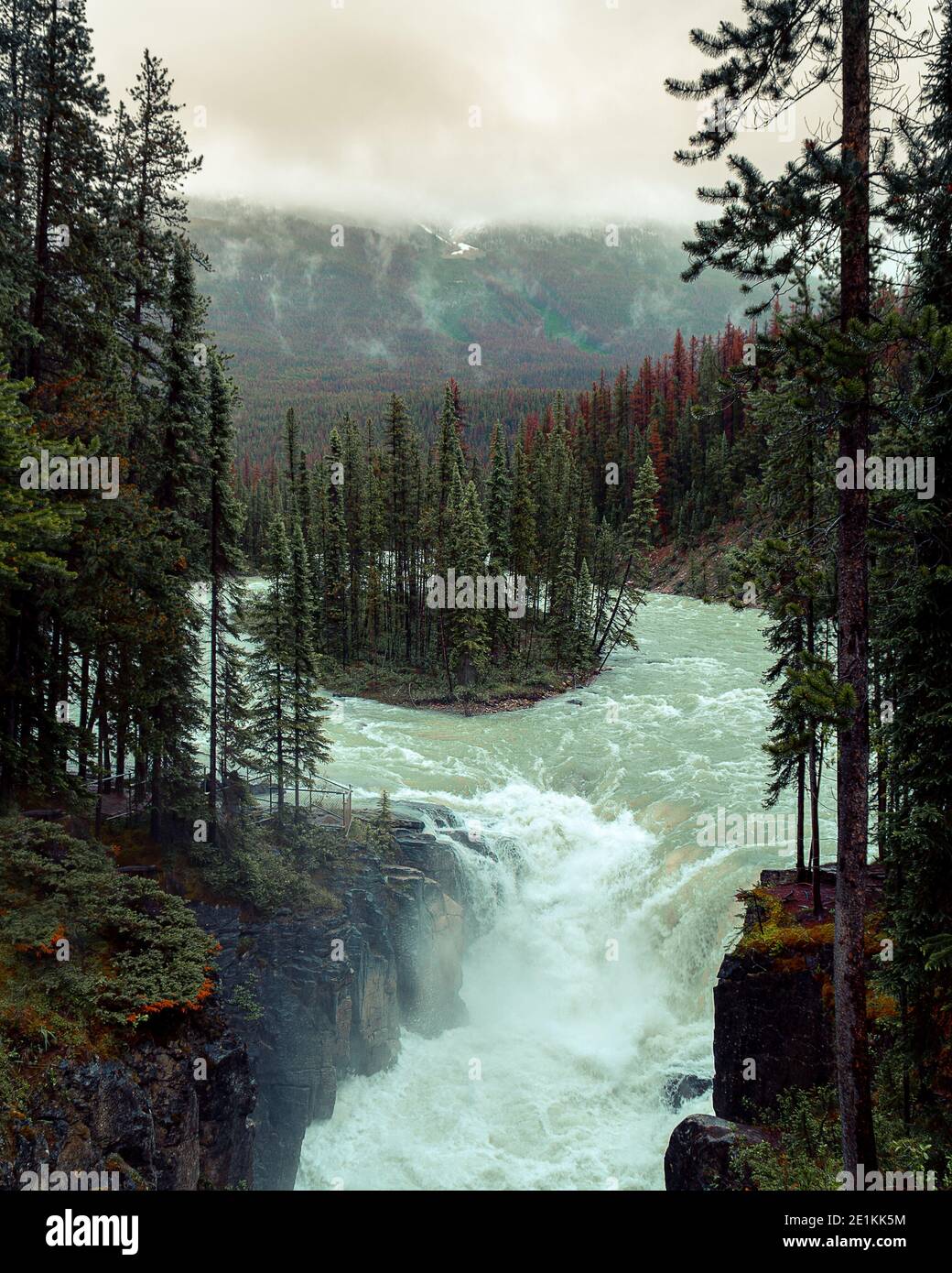 Enjoying the sights at Sunwapta Falls while road tripping through