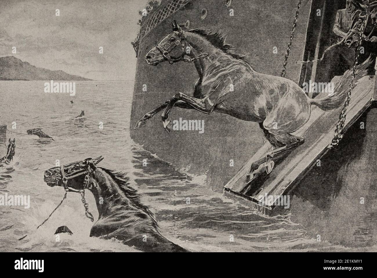 Landing Horses from Transport Boats off Siboney, Cuba - June 21, 1898 during the Spanish American War Stock Photo