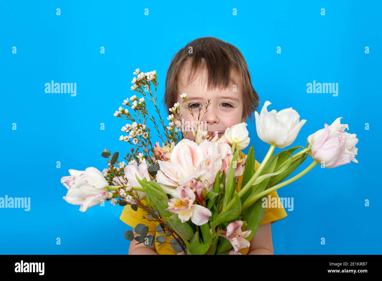 Cute boy smiling with a bouquet of tulip flowers as a gift on a blue background in studio Stock Photo