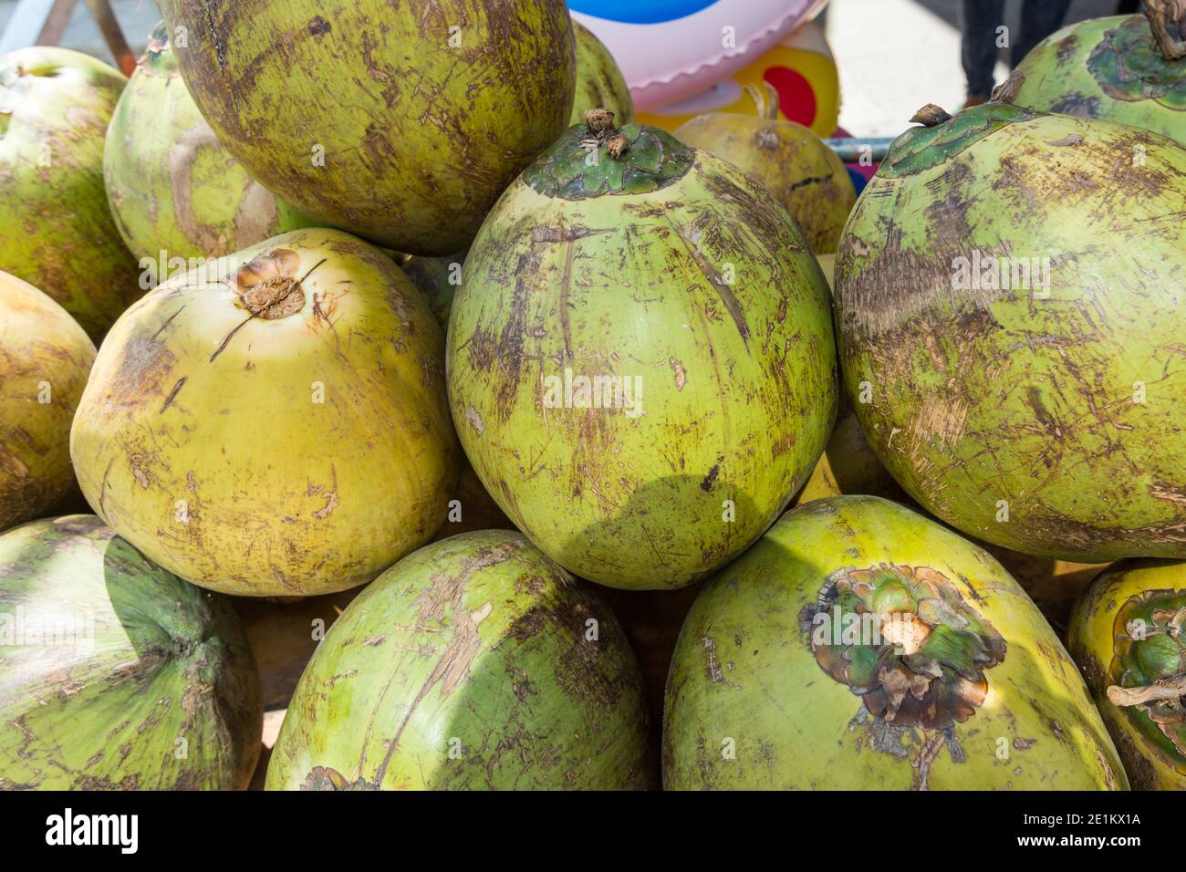Thailand pile of ripe coconuts hi-res stock photography and images - Alamy