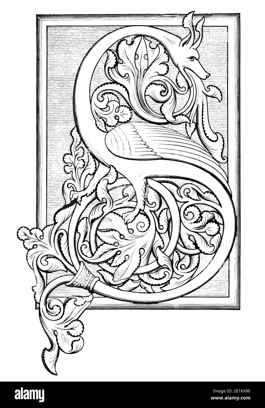 An initial S, illuminated with foliage of the Northumbrian type, from a German manuscript of the twelfth century From the book ' Illuminated manuscripts in classical and mediaeval times : their art and their technique ' by Middleton, J. H. (John Henry), 1846-1896 Published in 1892 Stock Photo