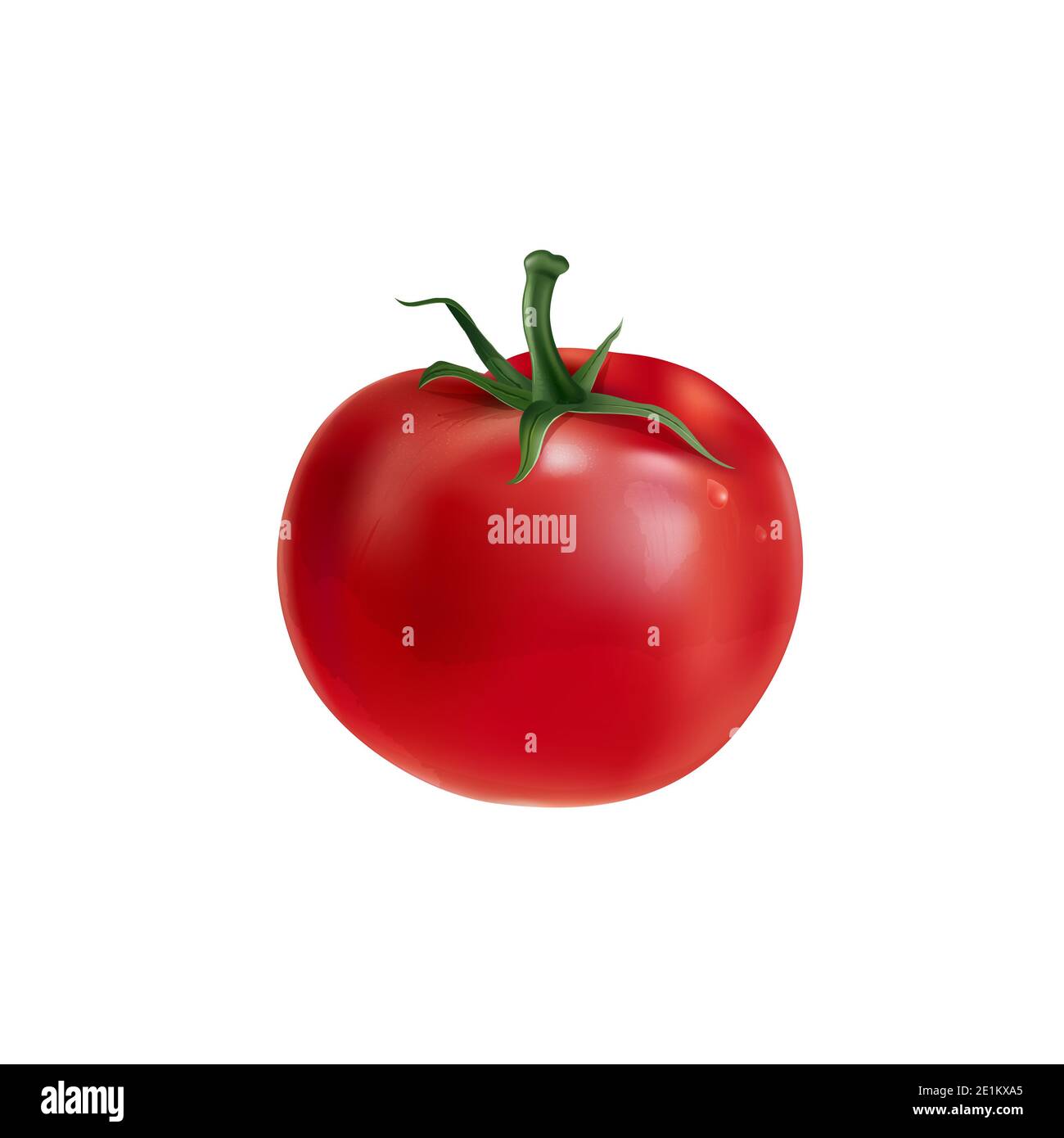 Fresh red tomato on a white background. Stock Photo