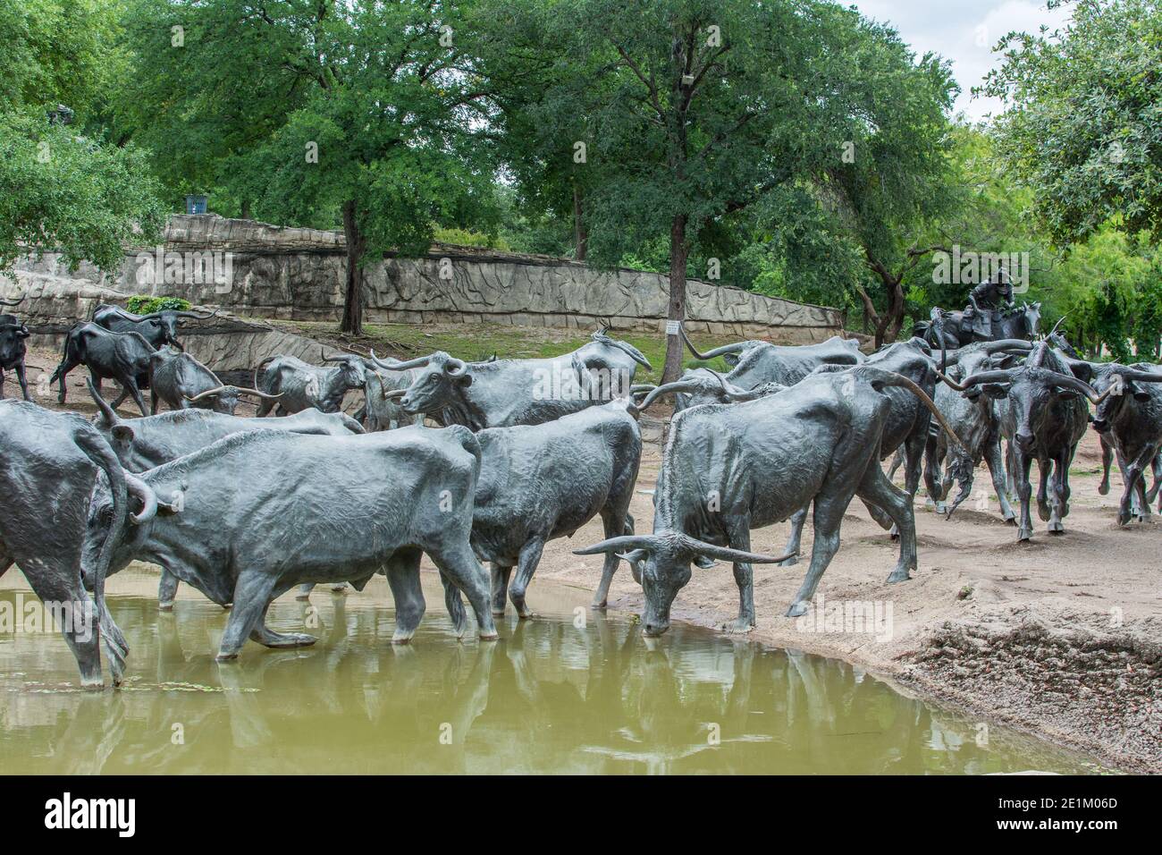 Giant bull statues at the Pioneer Plaza in Dallas, Texas, USA Stock