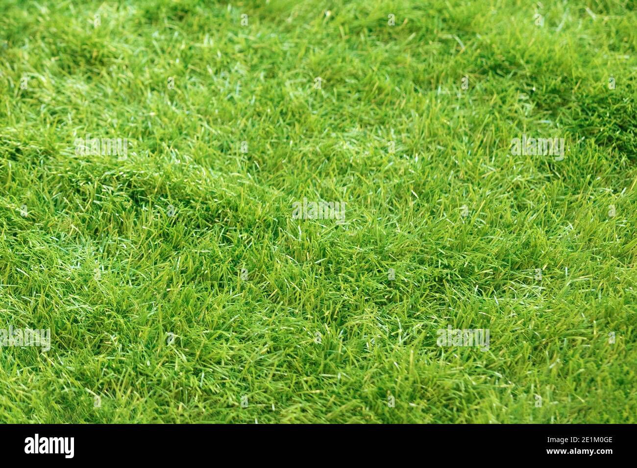 artificial grass green polyethylene coating as textured background Stock Photo Alamy