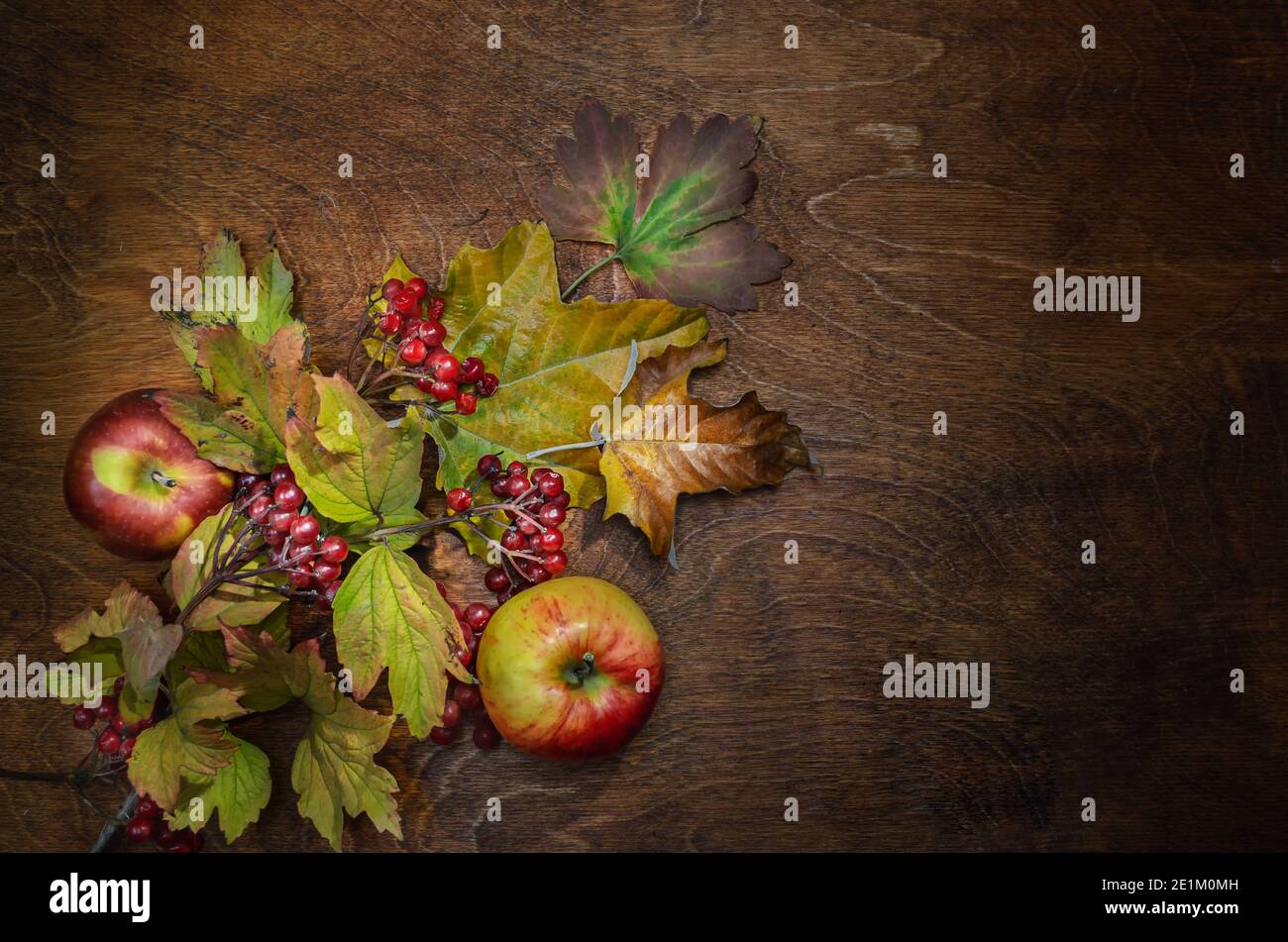 branch of viburnum dry leaves and apples on a dark wooden background ...