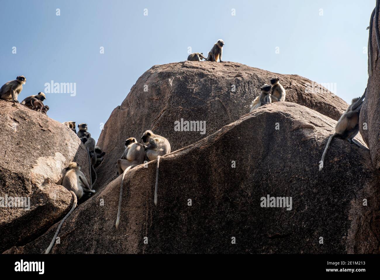Indian rock group hi-res stock photography and images - Alamy