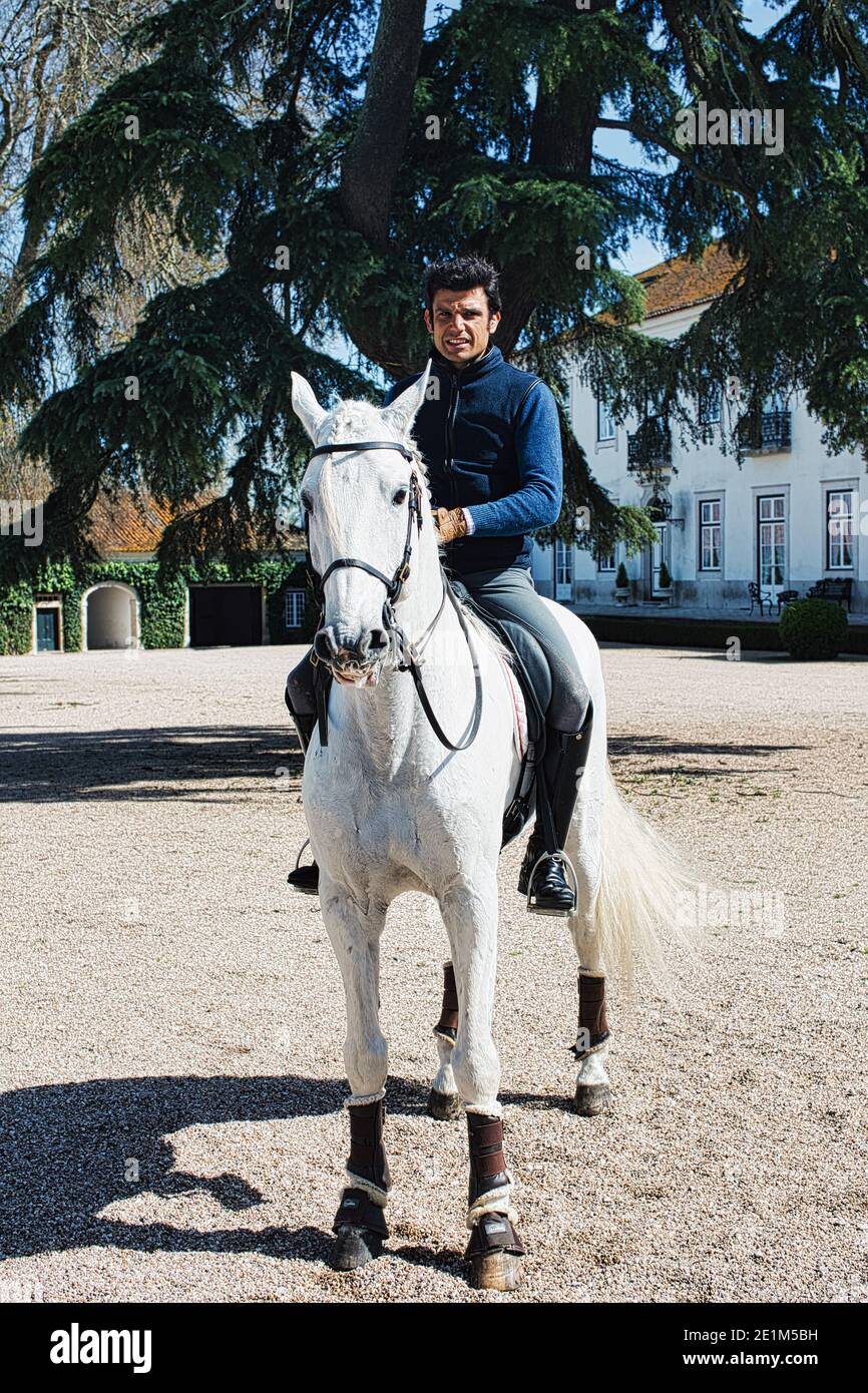 Portugal / Azinhaga /The beautiful estate “Quinta da Broa” isthe birthplace of the Veiga horses, one of the four main lineages of the Lusitano breed. Stock Photo