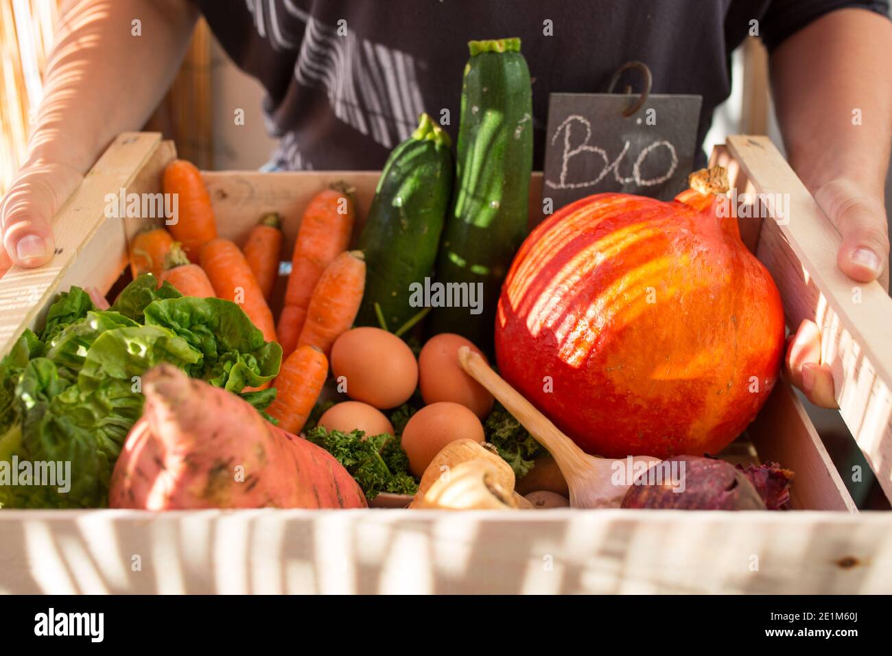 assortment of seasonal organic vegetables Stock Photo Alamy