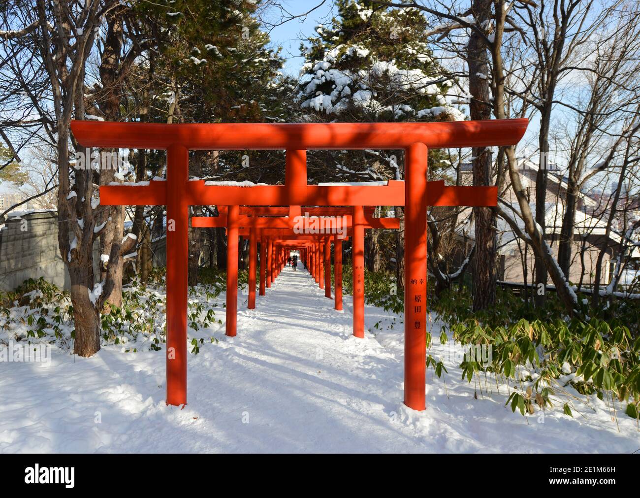 Sapporo Fushimi Inari Shrine, Hokkaido, Japan. Stock Photo