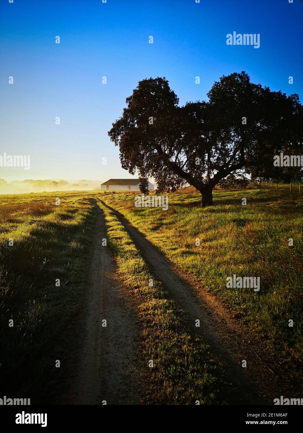 Portugal / Alentejo is the unexplored Portugal. Well known for its unique and peaceful landscapes. Stock Photo