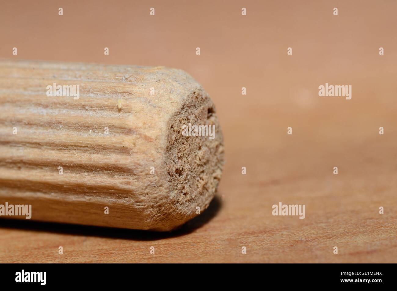 wood dowel macro large view Stock Photo