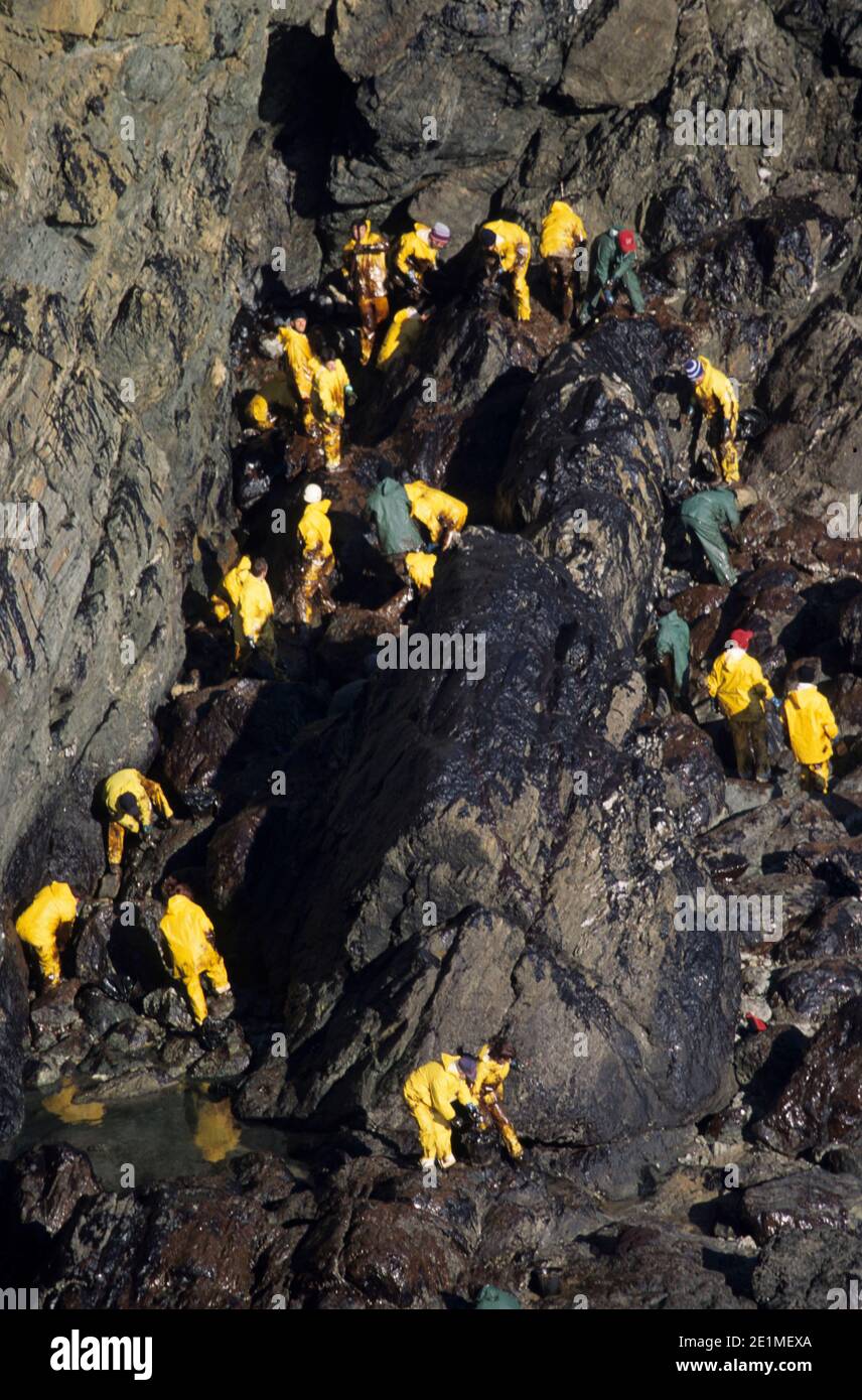 Oil spill caused by the sinking of the tanker Erika: cleaning of the coast, Belle-Ile-en-Mer (off the coast of Brittany, north-western France), Januar Stock Photo