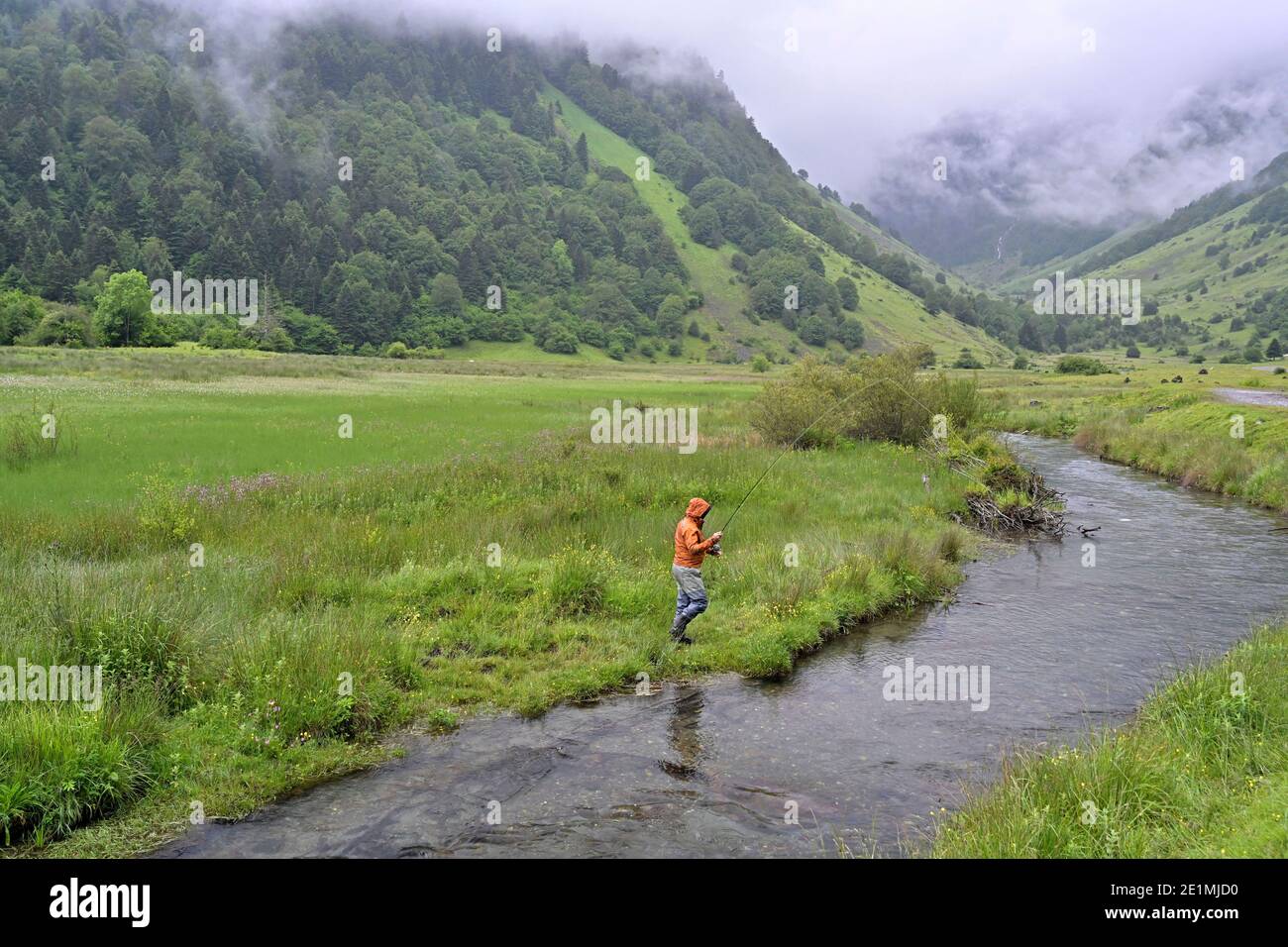 fly fisherman with an orange jacket fishing for trout in the mountains in rainy weather Stock Photo