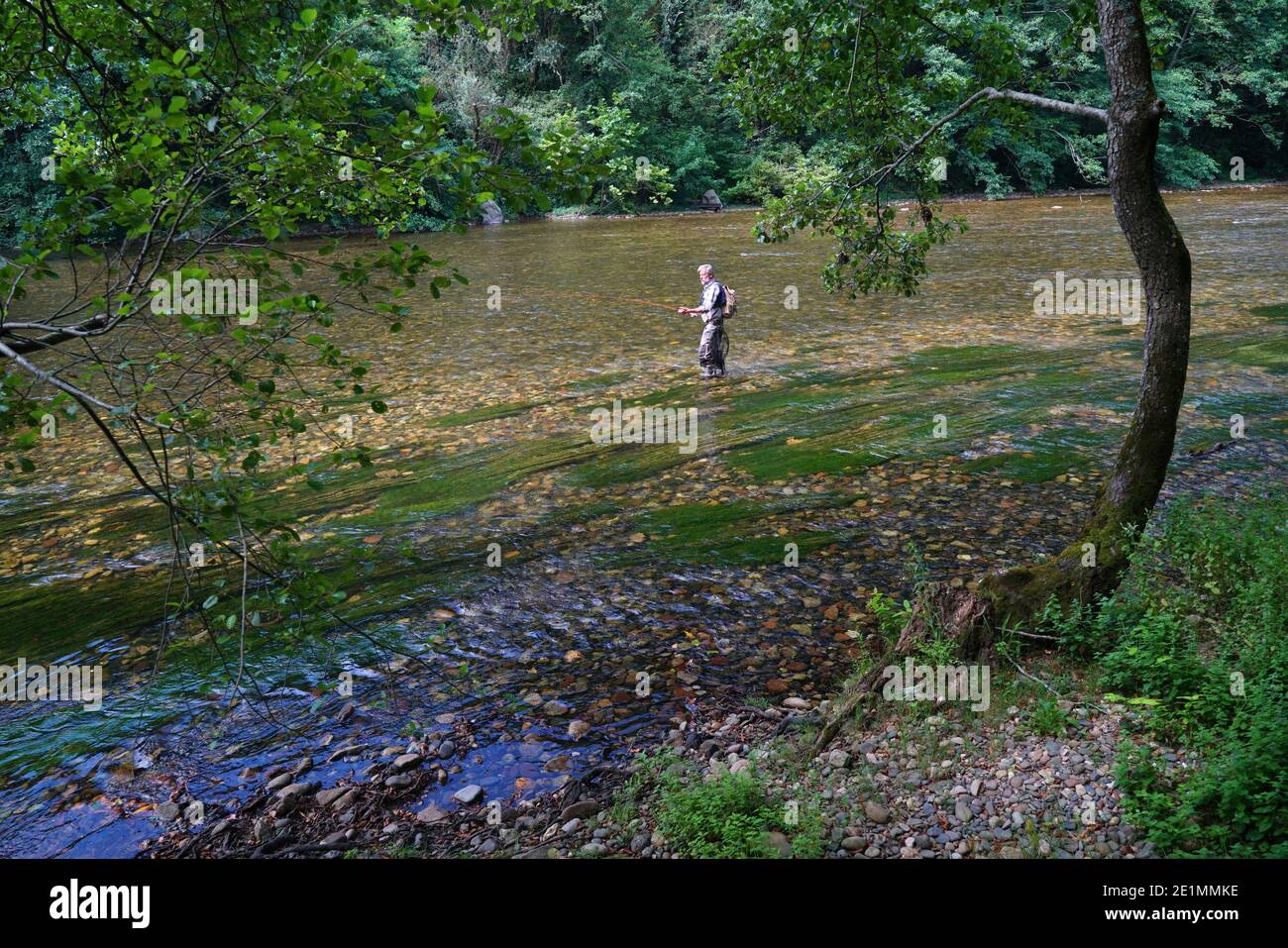 Man fly fishing in the summer in a beautiful river with clear water Stock Photo