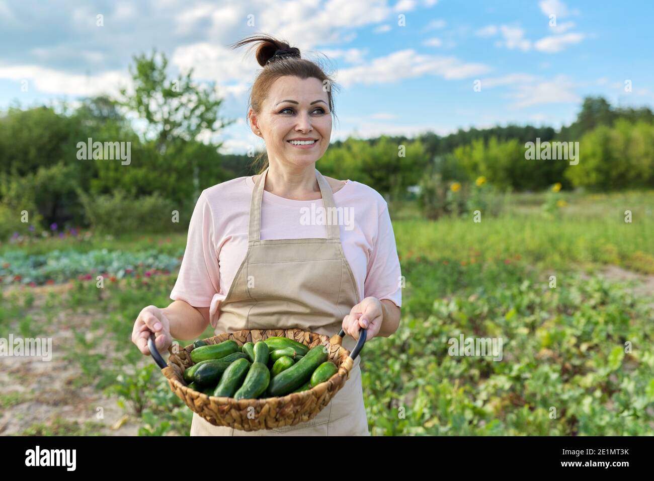 Smiling mature woman basket hi-res stock photography and images - Alamy
