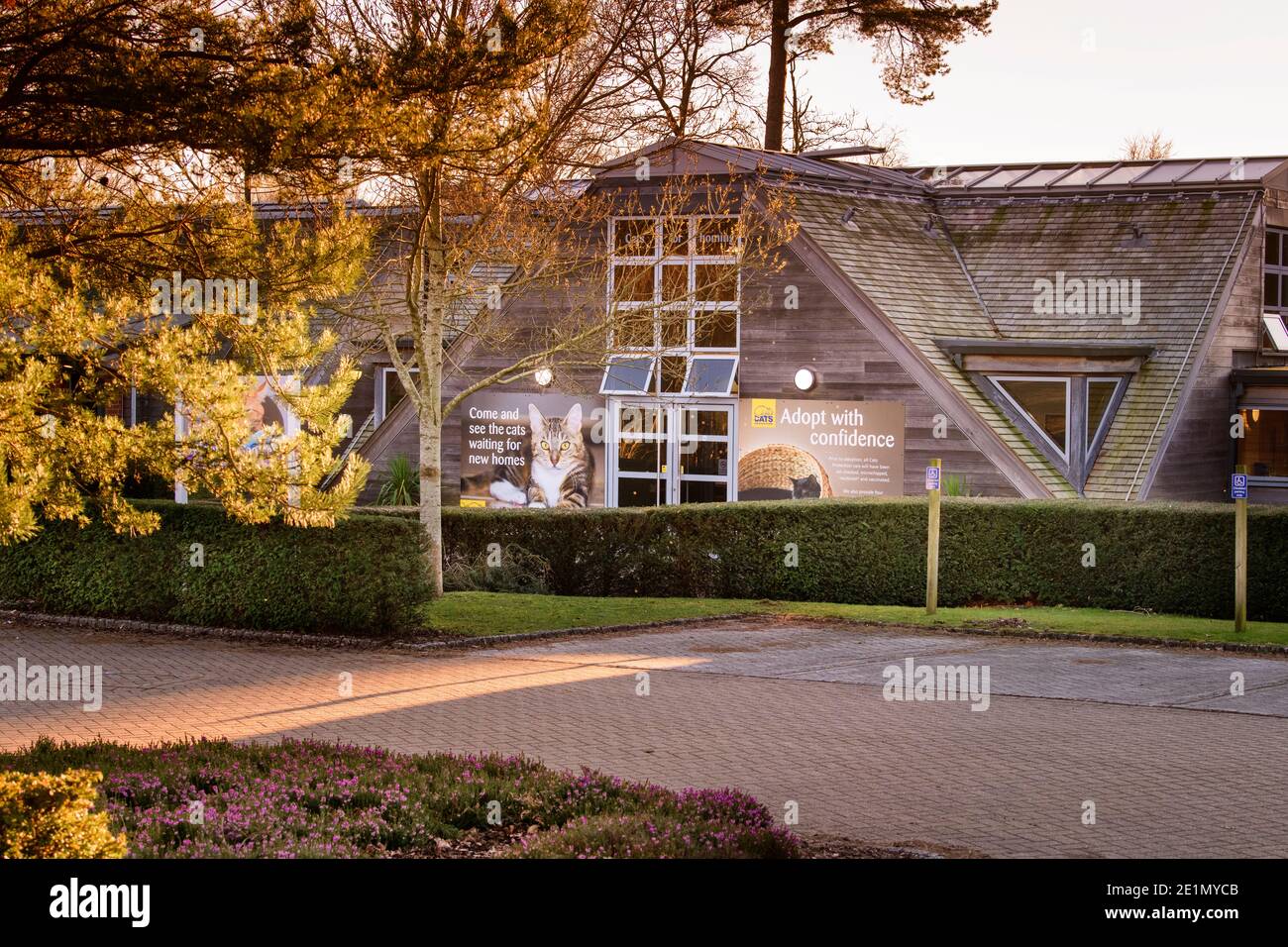 The charity Cats Protection headquarters on the Ashdown Forest UK. Stock Photo