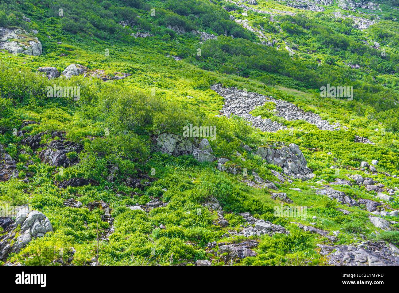 Hillside covered with rocks and green grass Stock Photo - Alamy