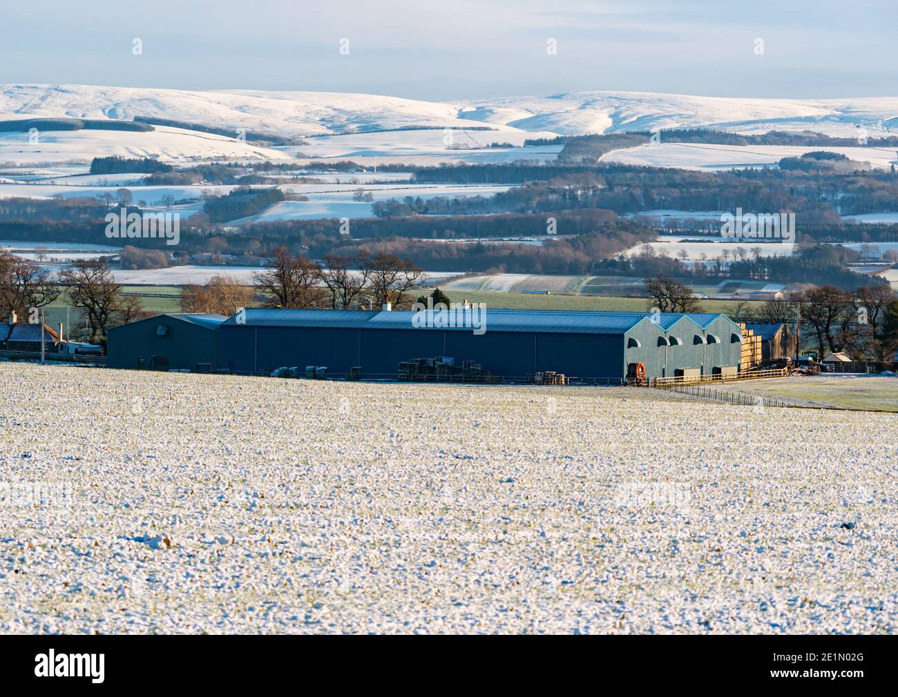 East Lothian, Scotland, United Kingdom, 8th January 2021. UK Weather: snow covers most of the county from the Garleton Hills southwards to the Lammermuir Hills on a bright clear sunny day Stock Photo