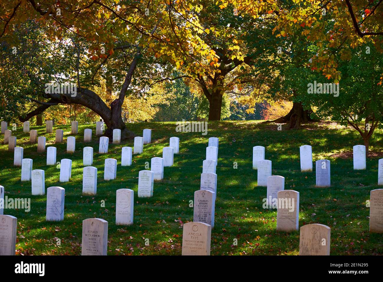 Backlit trees with yellow leaves of fall, autumn behind identical gravestones. At Arlington National Cemetery near Washington DC. Stock Photo
