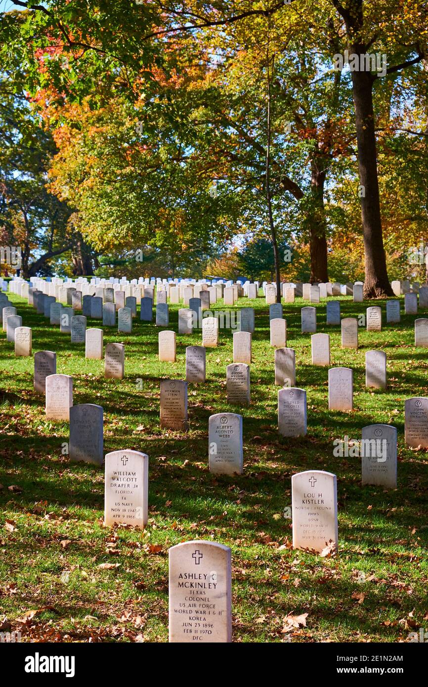 Backlit trees with yellow leaves of fall, autumn behind identical gravestones. At Arlington National Cemetery near Washington DC. Stock Photo