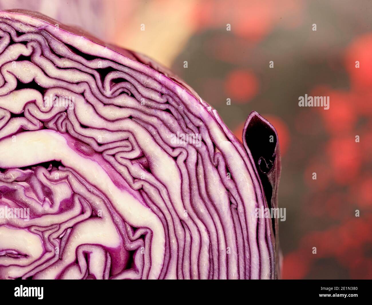 Sliced Red cabbage showing intricate pattern, food ingredient still-life Stock Photo