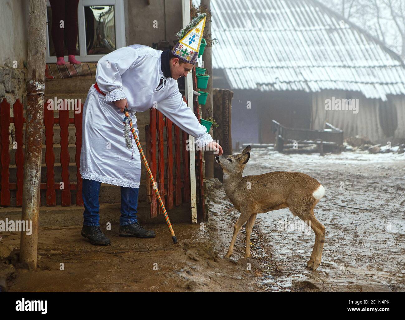 Non Exclusive: VILSHYNKY, UKRAINE - JANUARY 7, 2021 - A caroller pets a domesticated roe deer as the betlehem (the local name for the Christmas carol Stock Photo