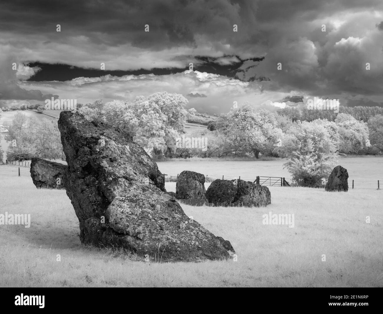 Black and white image of Stanton Drew Stone Circle in infrared, Somerset, England. Stock Photo