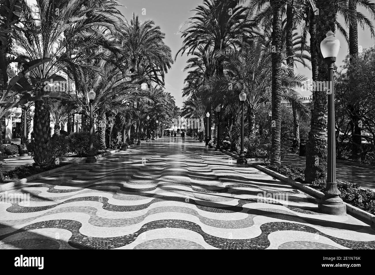 3D effect of wavy tiled paving along the Palm lined Esplanade de Espana in Alicante, Spain Stock Photo