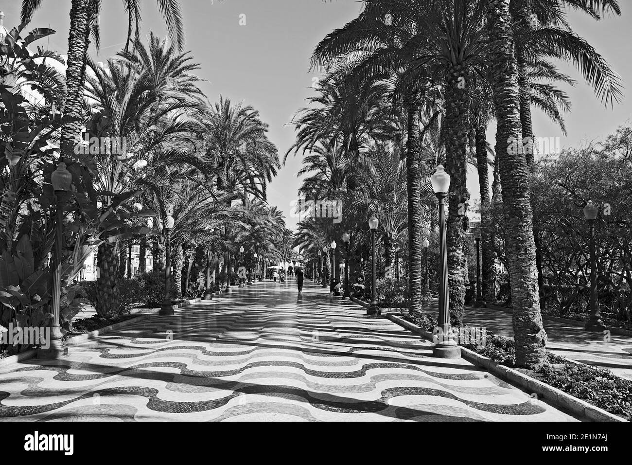 3D effect of wavy tiled paving along the Palm lined Esplanade de Espana in Alicante, Spain Stock Photo