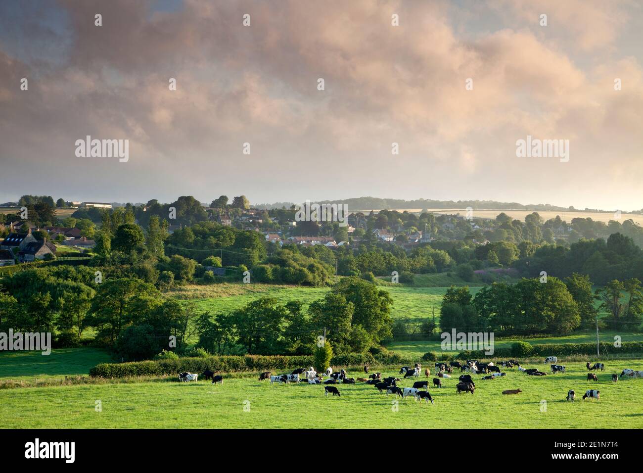 Farmland surrounding the village of Tisbury in Wiltshire. Stock Photo