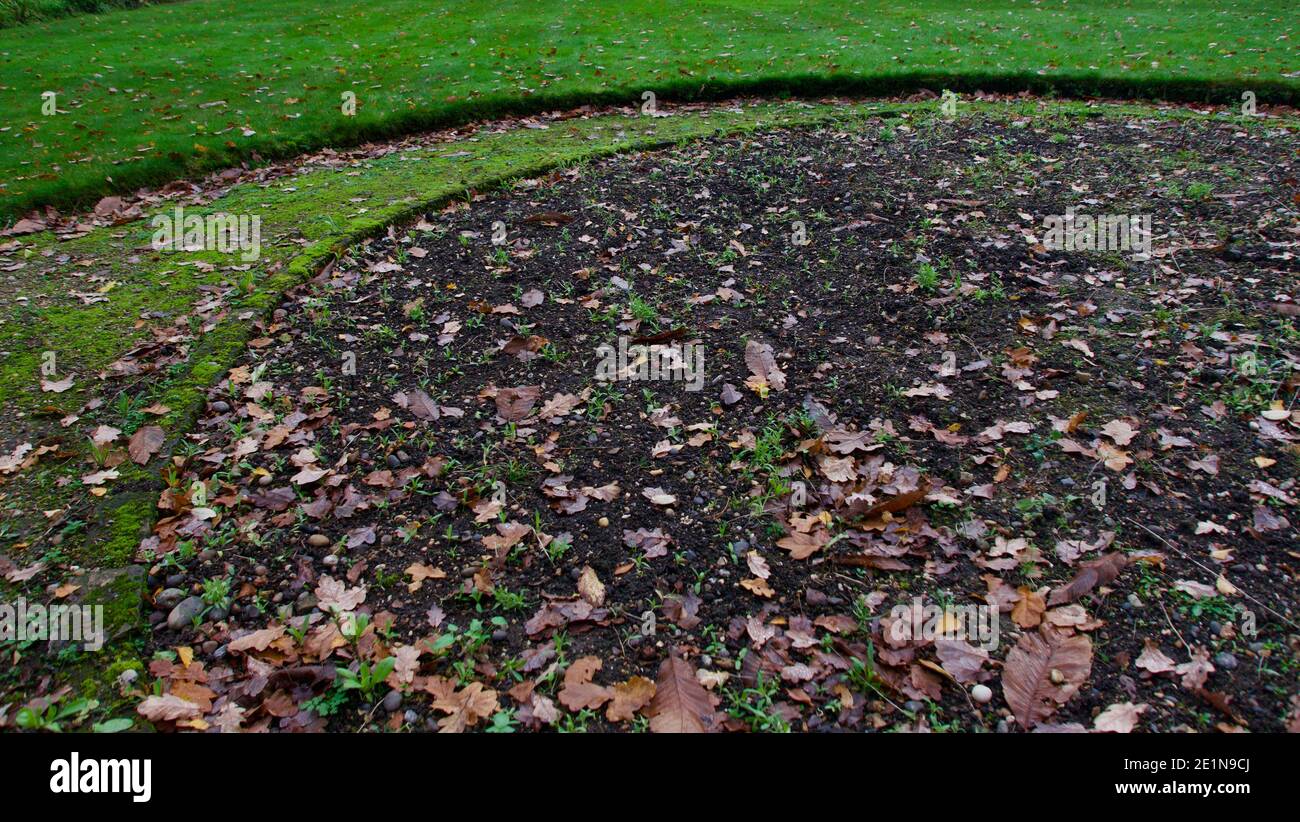 Empty flower bed with foliage in autumn beside grass lawn border Stock Photo