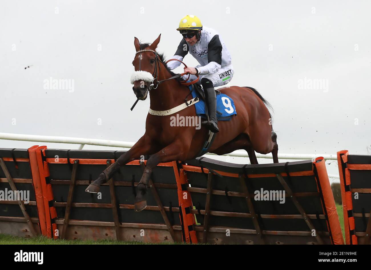 Miss Honey Ryder and jockey Adrian Heskin in action in the Molson Coors ...