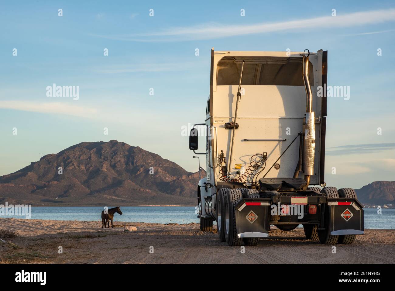 The cab of a semi truck and a dark horse on the beach in San Carlos, Sonora, Mexico. Stock Photo