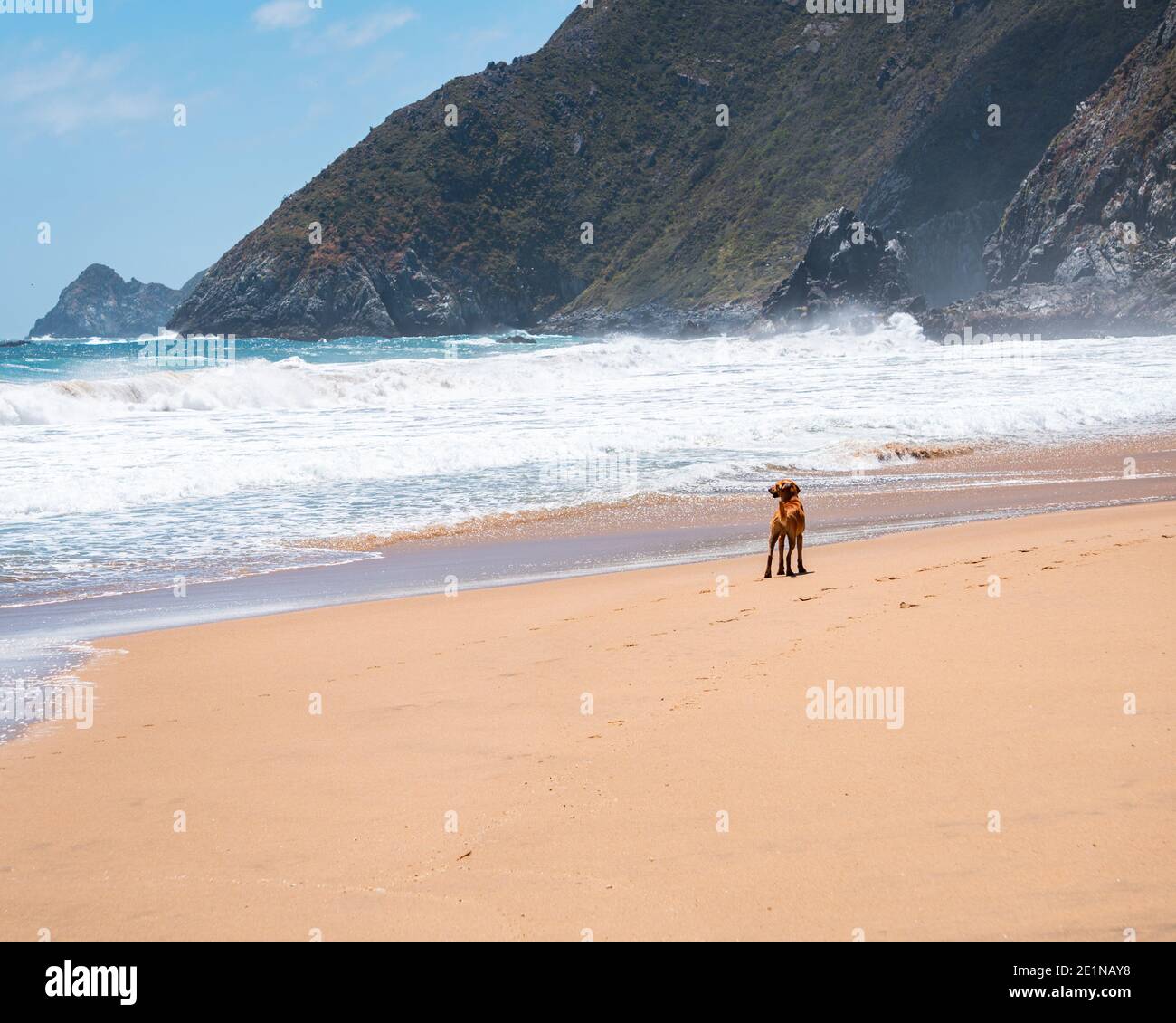 Summer vacations in Quintay beach on a sunny day Stock Photo