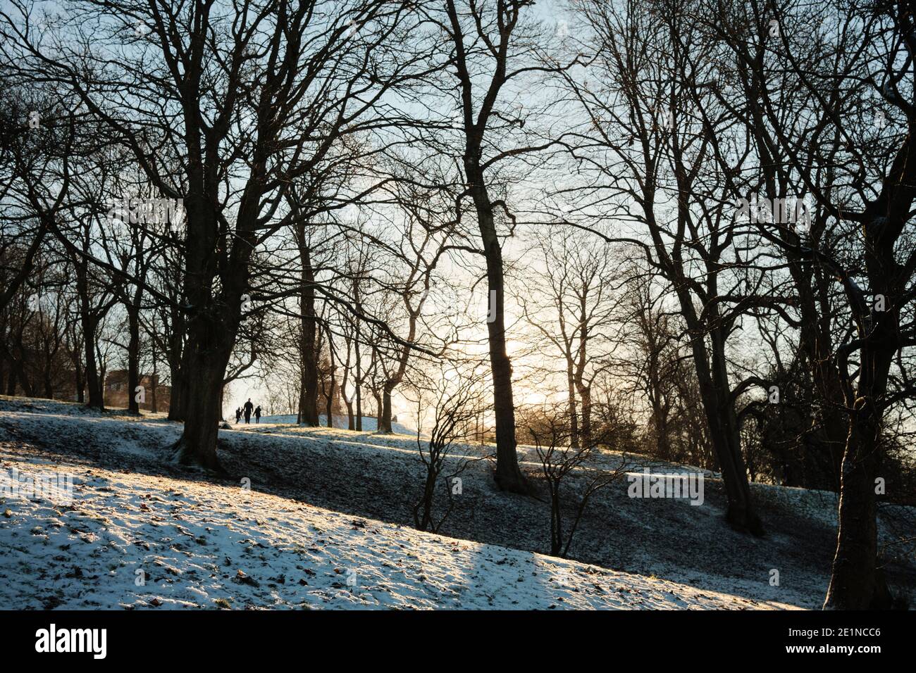 Snow in Kelvingrove Park in winter light, Glasgow. January 2021 Stock Photo