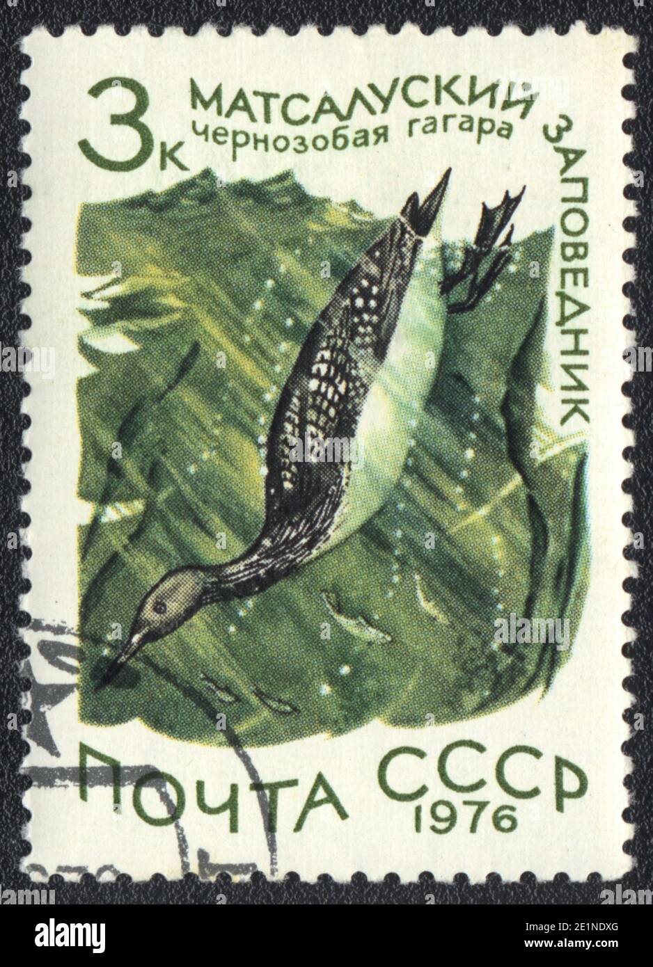 A stamp printed in USSR  shows Black-throated Loon in Matsalu Nature Reserve, from series National reserve, circa 1976 Stock Photo