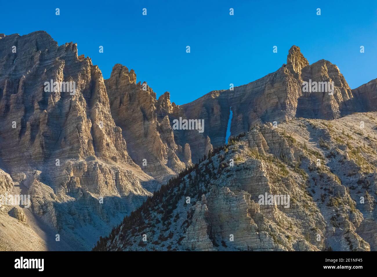 View of Wheeler Peak from near beginning of Wheeler Peak Summit Trail in Great Basin National Park, Nevada, USA Stock Photo
