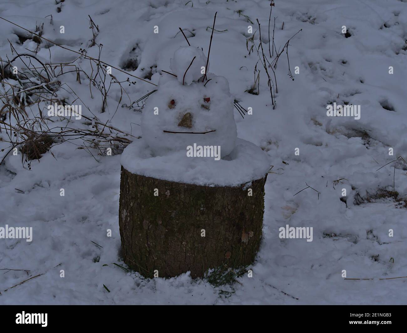 Front view of funny looking head built of snow on the top of a tree stump in a forest near Gruibingen, Swabian Alb, Germany in winter season. Stock Photo