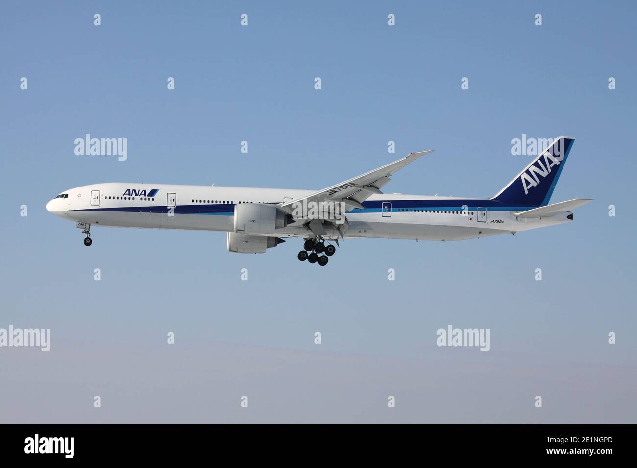Japanese ANA All Nippon Airways Boeing 777-300 with registration JA788A on short final for runway 25L of Frankfurt Airport. Stock Photo