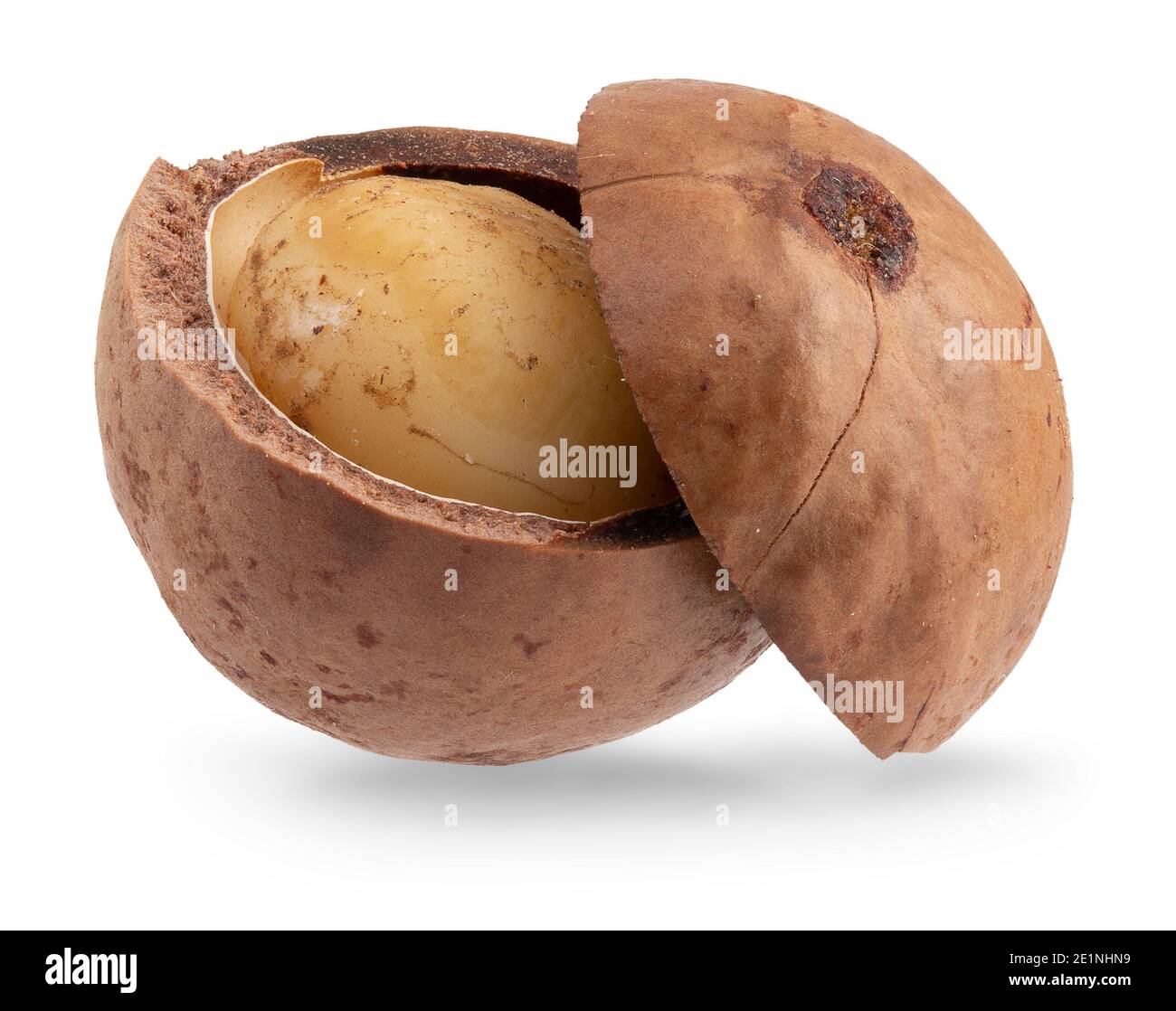 macadamia nut isolated on a white background. Stock Photo