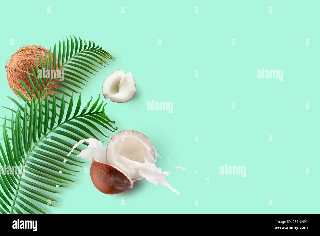 coconuts with milk splash and green palm leaves on a mint green background. Stock Photo
