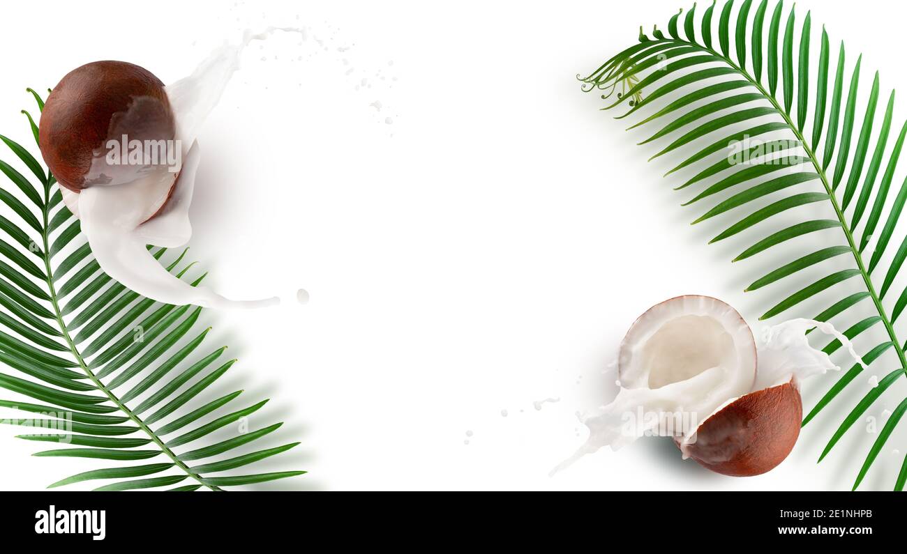pattern with coconuts, milk splash and palm leaves on a white background. Stock Photo