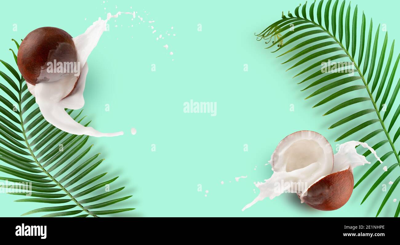 pattern with coconuts, milk splash and palm leaves on a green mint background. Stock Photo