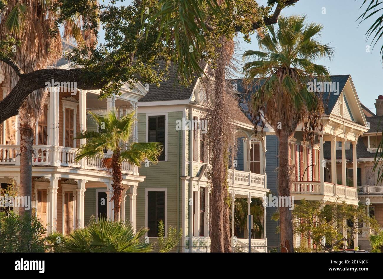 Victorian houses on Sealy Avenue in East End Historic District
