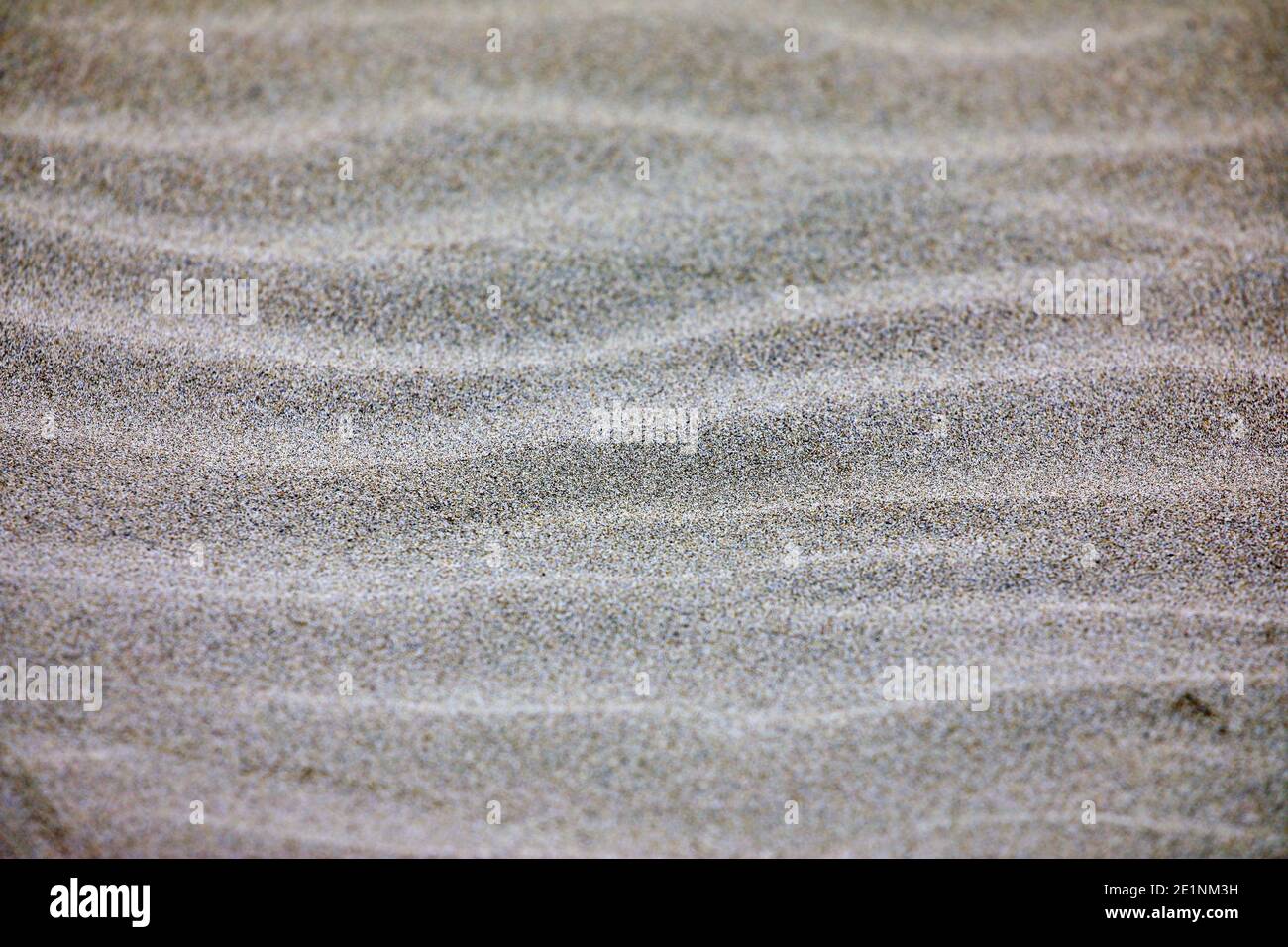 Close up on sandy beach Stock Photo